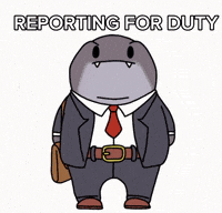Working 9 To 5 GIF by Shark in the Suit