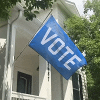 FlagsForGood vote flag biden voting GIF