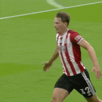 Premier League Win GIF by Sheffield United Football Club