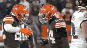Cleveland Browns Football GIF by NFL
