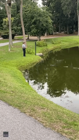 Alligator Chases Fisherman In Front of Stunned Crowd