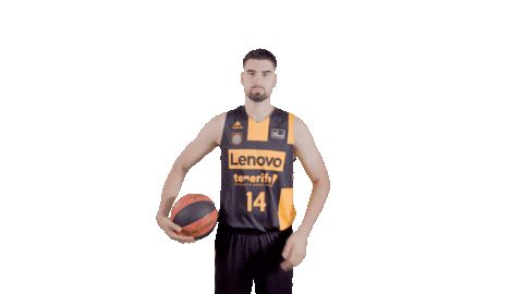 Liga Endesa Sport Sticker by ACB