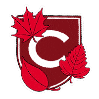 Fall College Sticker by Colgate University