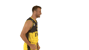 Ewe Baskets Basketball Sticker by EWE Baskets Oldenburg