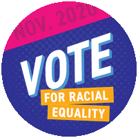 the99problems 2020 vote election democrat Sticker