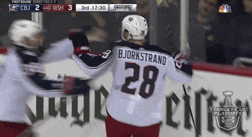 happy ice hockey GIF by NHL