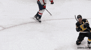 Ice Hockey Sport GIF by NHL