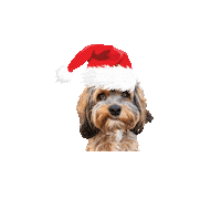 JuliaSpechtSHK handwerk handwerker heizung christmas dog Sticker