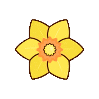 Flower Daffodil Sticker by Shoujo Sundae