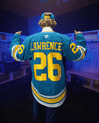 Happy St Louis Blues GIF by NHL