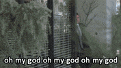 states mind GIF