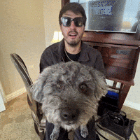 Happy New Year Congratulations GIF by Respective