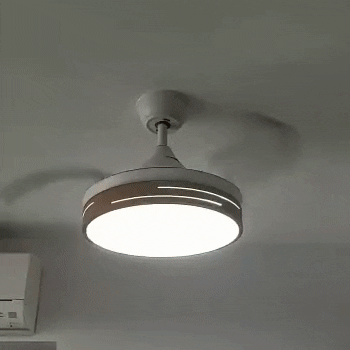 jojobug18 giphyupload GIF