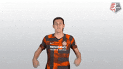 nwsl soccer celebration nwsl excitement GIF