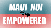 kklmaui  GIF