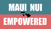 kklmaui  GIF
