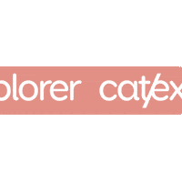 Cat Walk Sticker by Catexplorer