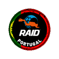Raid Sticker by DiveRAID