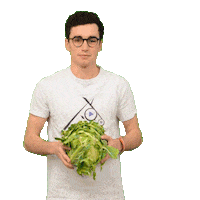 nowkeyofficiel choufleur Sticker by Nowkey