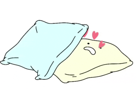 Pillow Cushion GIF