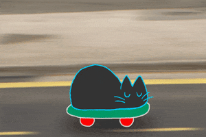 art cat GIF by Jason Clarke