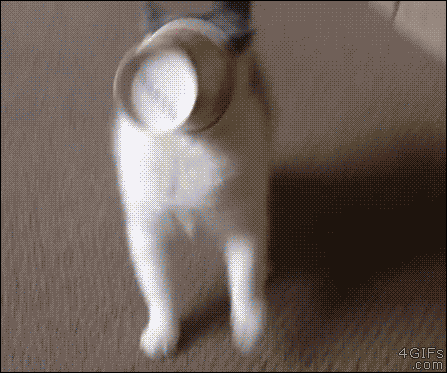 beep GIF