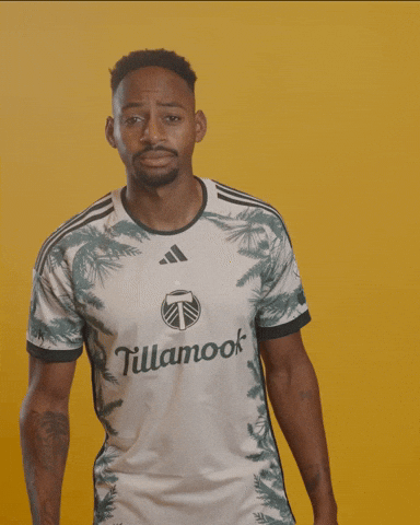 Mls Portland GIF by Timbers