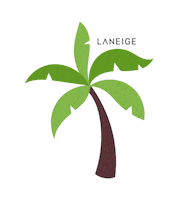 Summer Hello Sticker by Laneige US