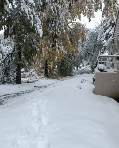 Blizzard Dumps Record Snowfall on Montana Town