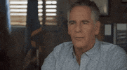Scott Bakula Pride GIF by CBS