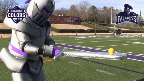 College Sports Balance GIF by College Colors Day