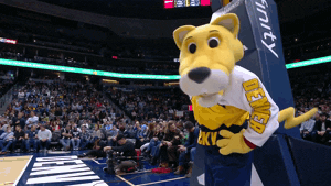 Denver Nuggets Basketball GIF by NBA