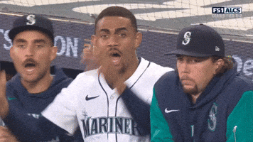 Sport What GIF by MLB