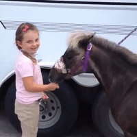 Young Girl Shares Her Ice Cream With Horse