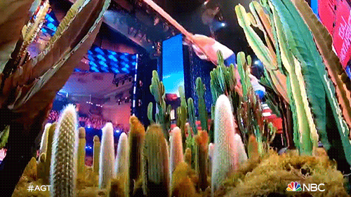 Season 17 Qualifiers GIF by The Voice