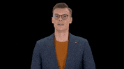 whittakerkai kai nein politik cdu GIF