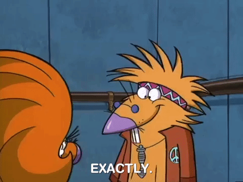 nickrewind giphydvr nicksplat angry beavers giphyab017 GIF