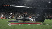 College Sports Sport GIF by Cincinnati Bearcats