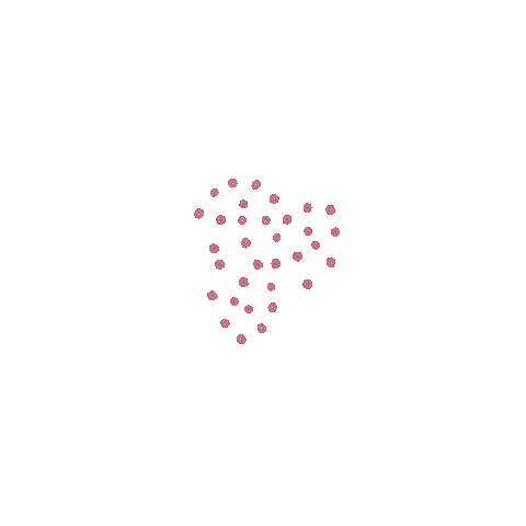 Dots Accent Sticker by Freckle & Fern Ceramics