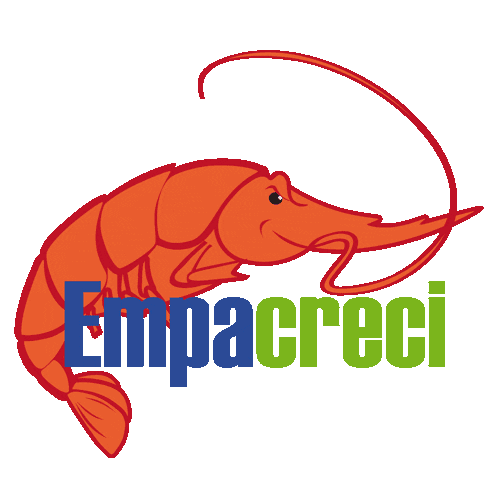 empacreci giphyupload shrimp seafood shrimps Sticker