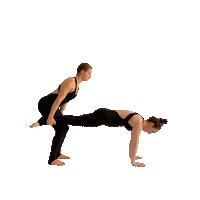 Duo Handstand Sticker by ShellyFLEX