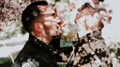 gay lgbt GIF