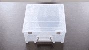 how to organization GIF by The Container Store