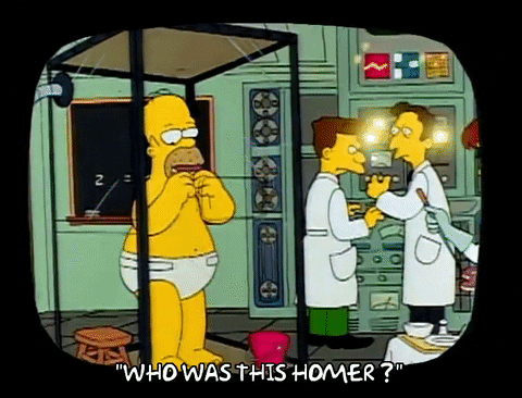 Season 1 GIF by The Simpsons
