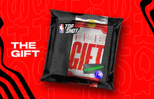 Top Shot Nba GIF