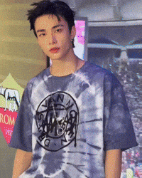 Stray Kids Skz GIF
