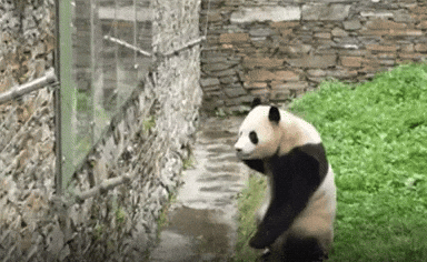 ehdgus1211 giphyupload GIF