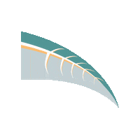 Forest Leaf Sticker by Tuesday Management