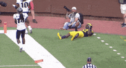 GIF by Michigan Athletics