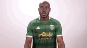portland timbers celebration GIF by Timbers